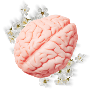 Curso de Psicoterapia e Psicanálise do Instituto Saber Consciente vale a pena comprar?