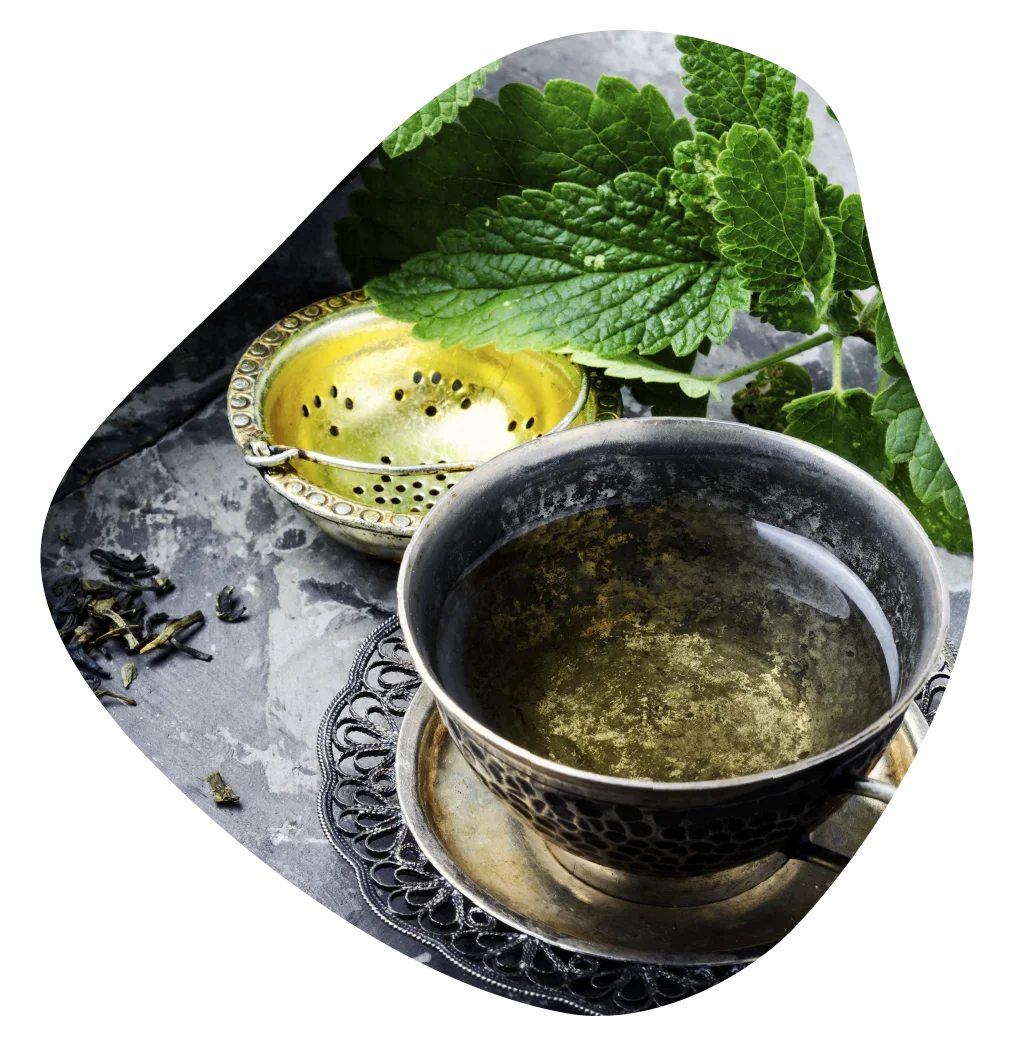 Curso Formação Fito é bom?