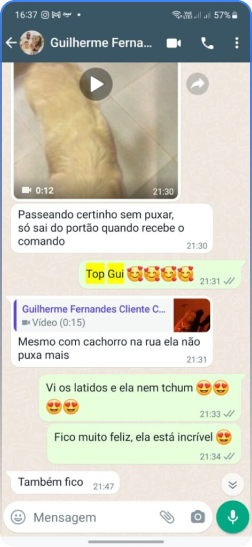 Método Cão Adestrado é bom? depoimentos de alunos