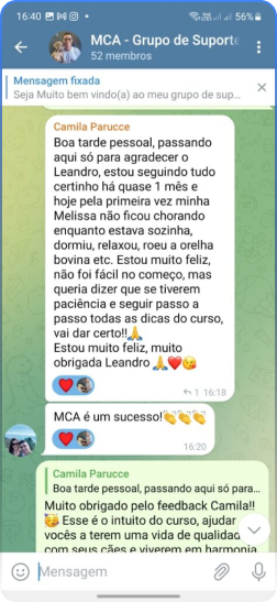 Método Cão Adestrado é bom? depoimentos de alunos