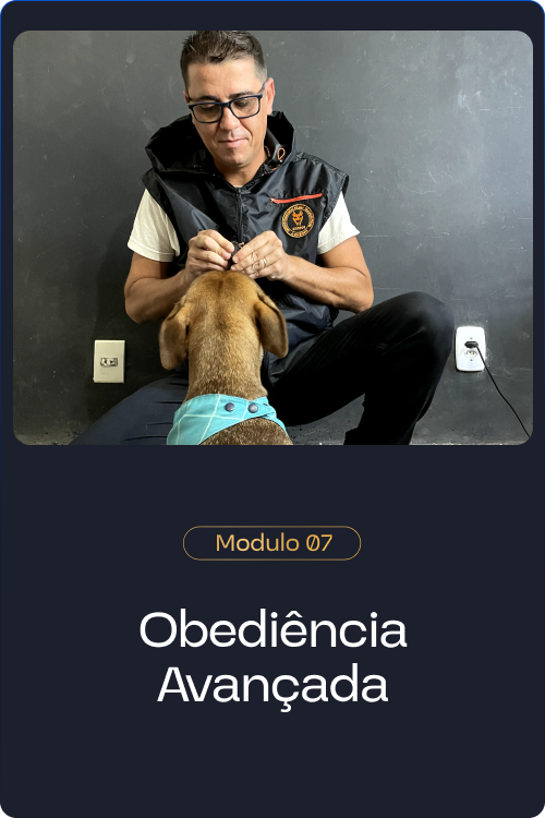 Método Cão Adestrado é Bom mesmo
