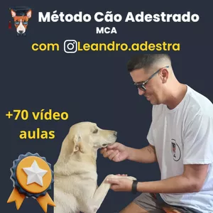 Método Cão Adestrado: Bom ou Ruim? Review do curso do Leandro Vianna, Funciona Mesmo? Hotmart é confiável?