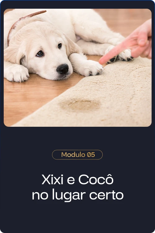 Método Cão Adestrado tem reclamações no reclame aqui?