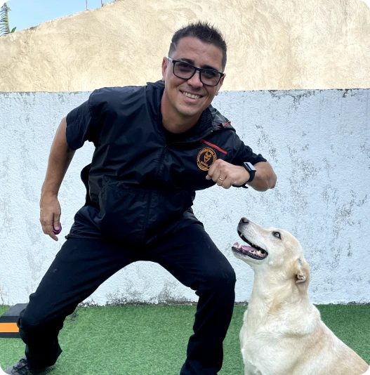 Método Cão Adestrado vale a pena comprar?
