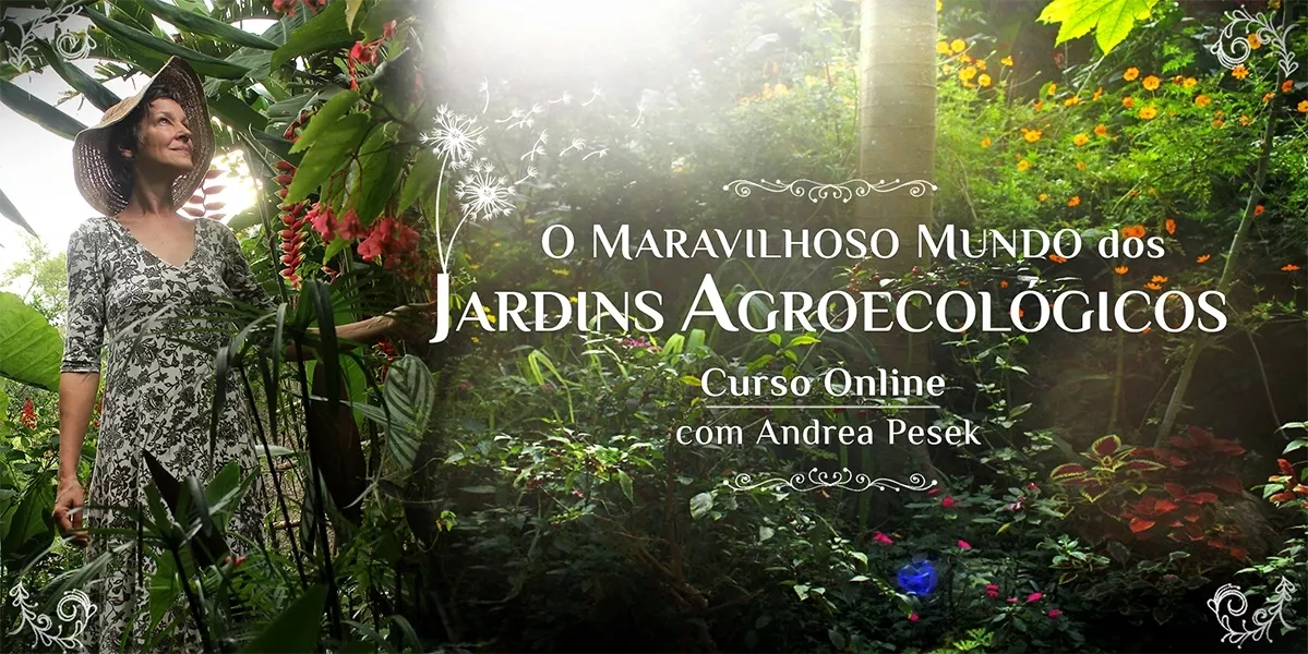 Curso O Maravilhoso Mundo dos Jardins Agroecológicos é Bom mesmo